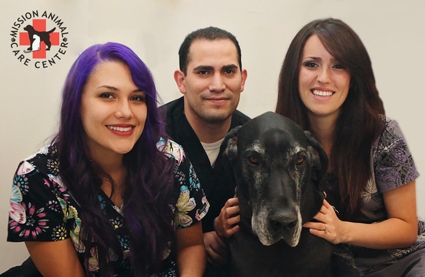 Images Mission Veterinary Clinic and Animal Emergency Hospital
