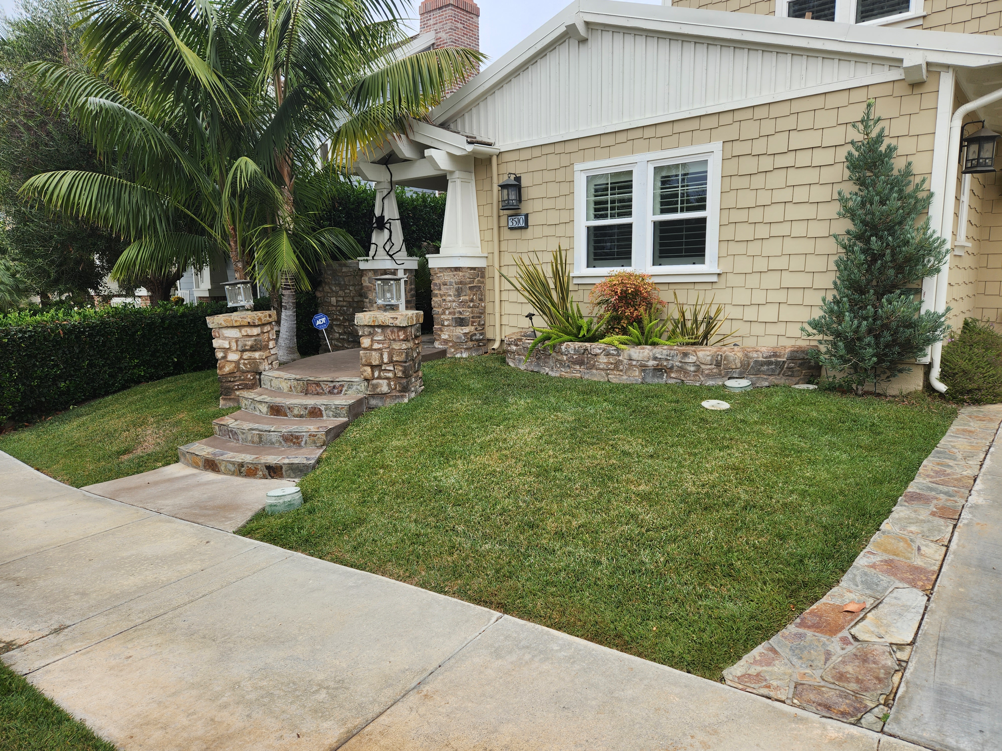The before photo of this nice little yard in Carlsbad. This client wanted a cleaner more modern look for their home. See below for the after photos!