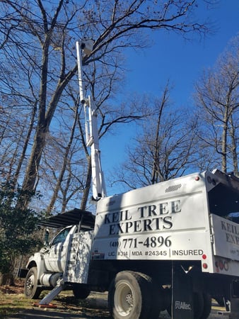 Images Keil Tree Experts Inc