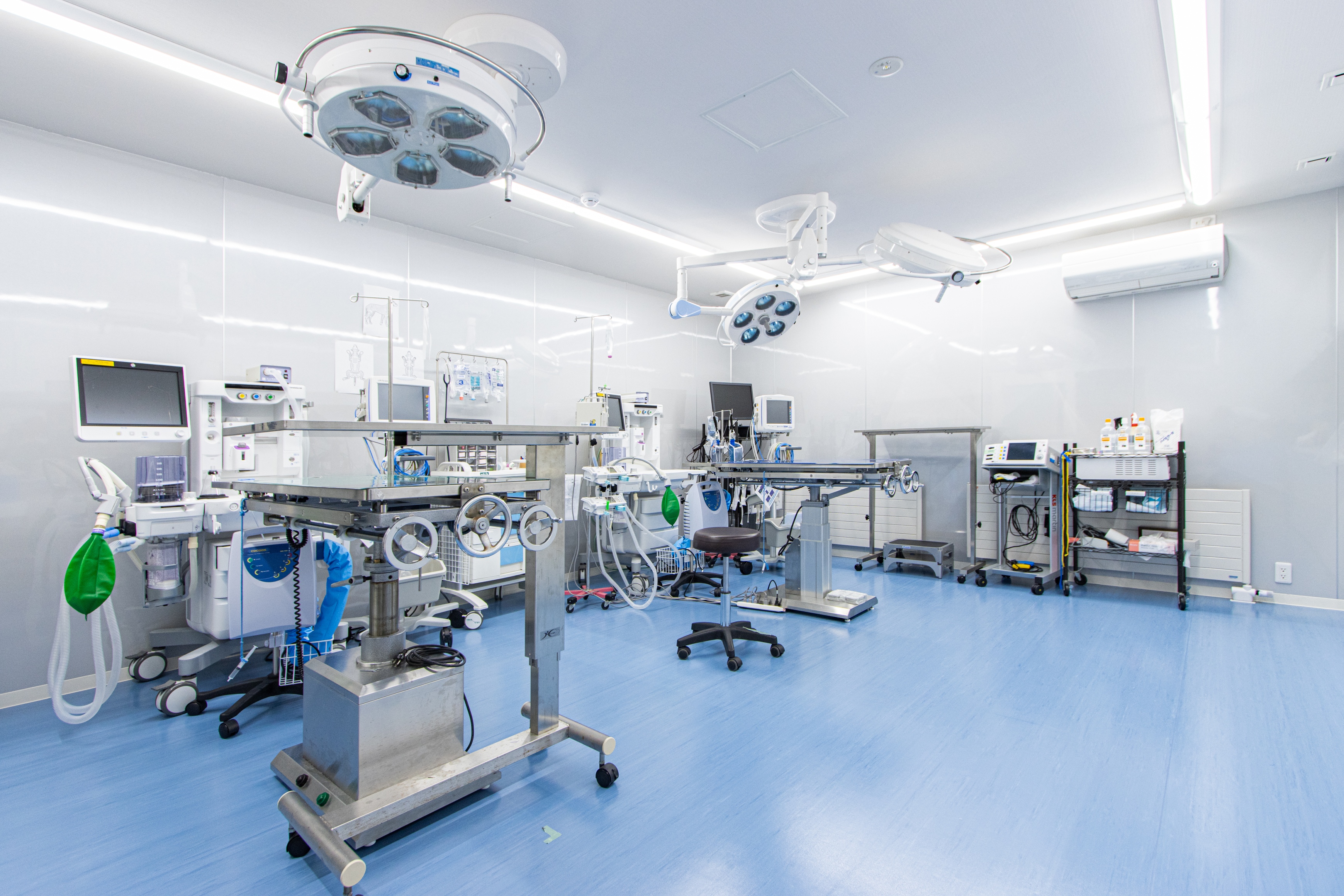 Images アイリス動物医療センター