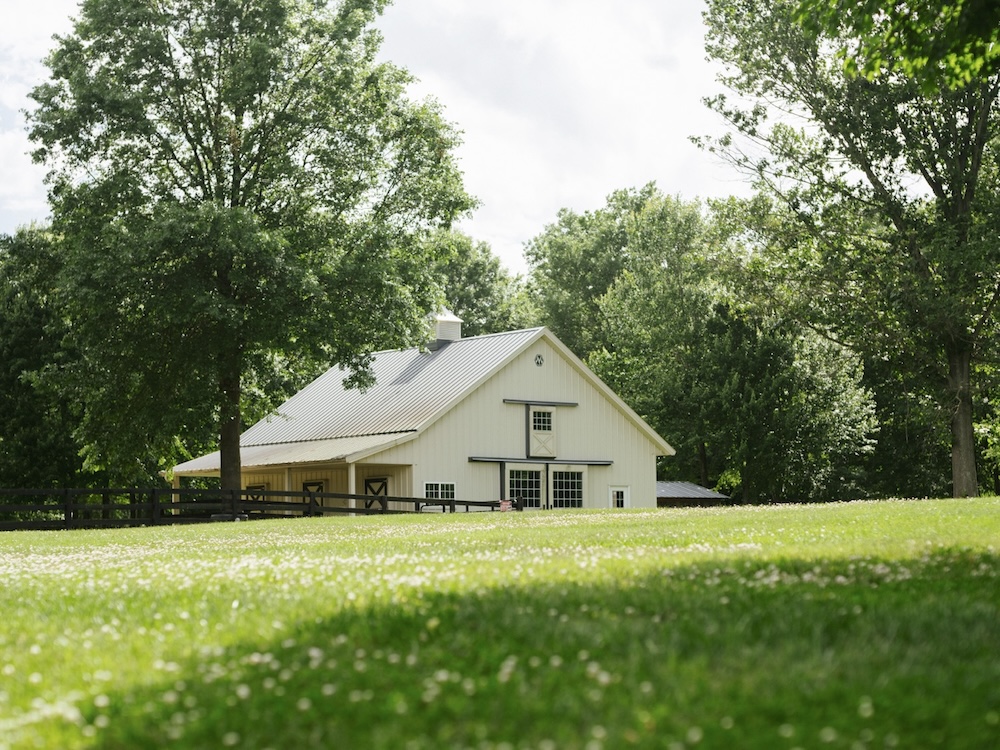 Black Pearl Management Image