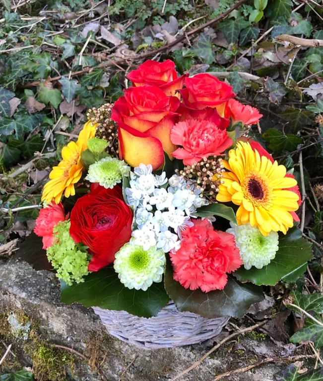 Bilder Blumen P. Gätzi