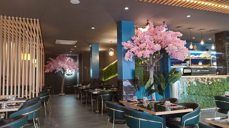 Images Koi Sushi Marino