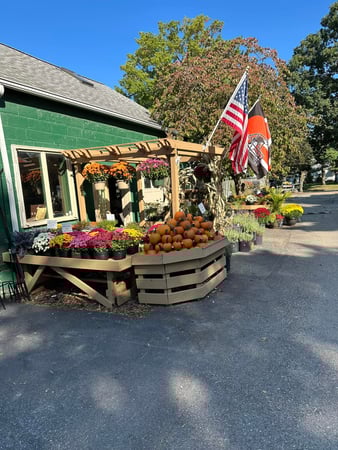 Images Puritas Nursery & Garden Center