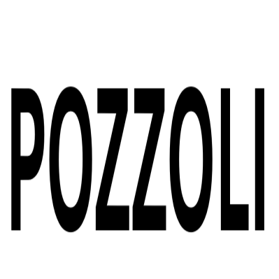 Pozzoli S.r.l. Logo