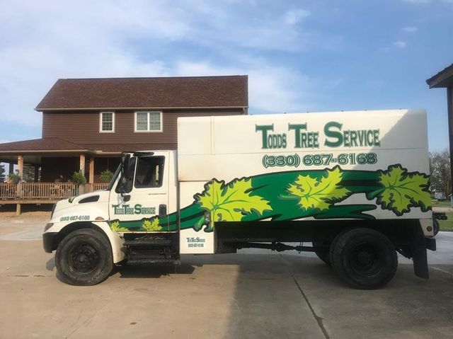Images Todd's Tree Service