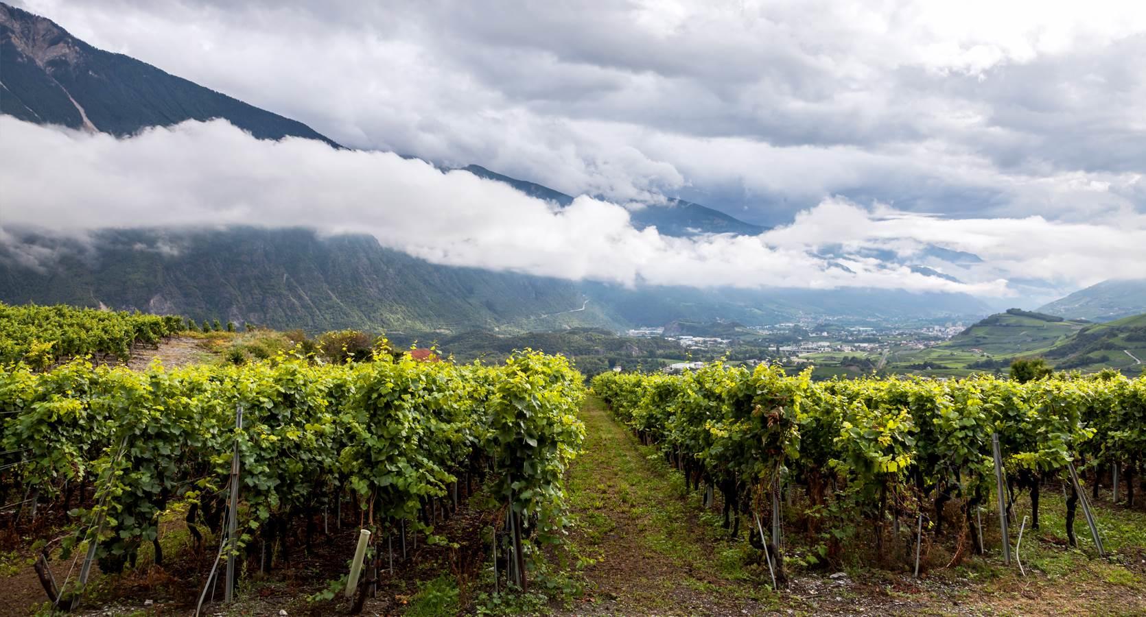 Weinservice GmbH, Kernserstrasse 3 in Sarnen