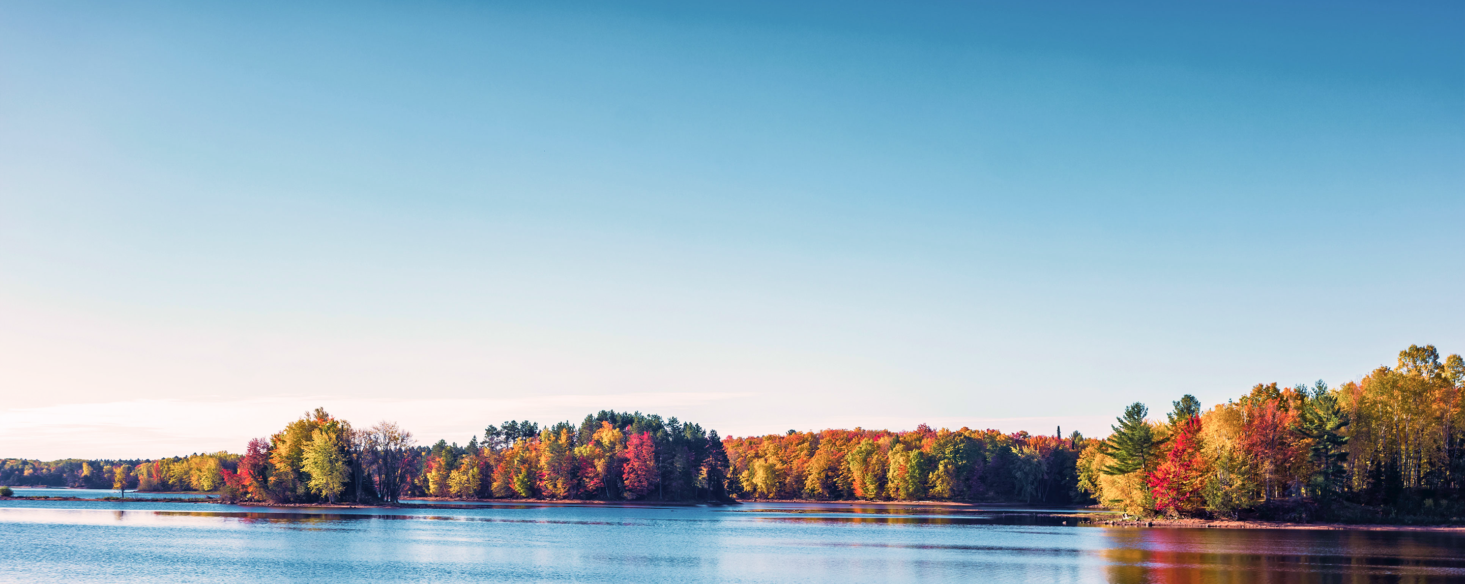 A lake surrounded by trees.
