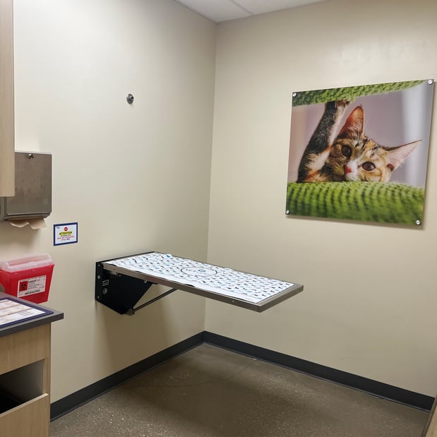 Images Vetco Total Care Animal Hospital