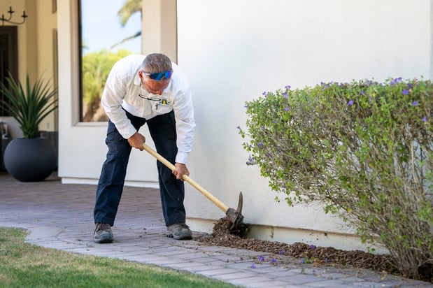 Images Ozone Pest Control