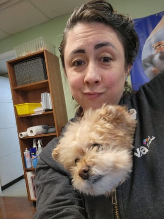 Images VCA Morris Plains Animal Hospital
