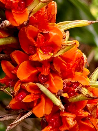 Images Brent Maudlin - State Farm Insurance Agent