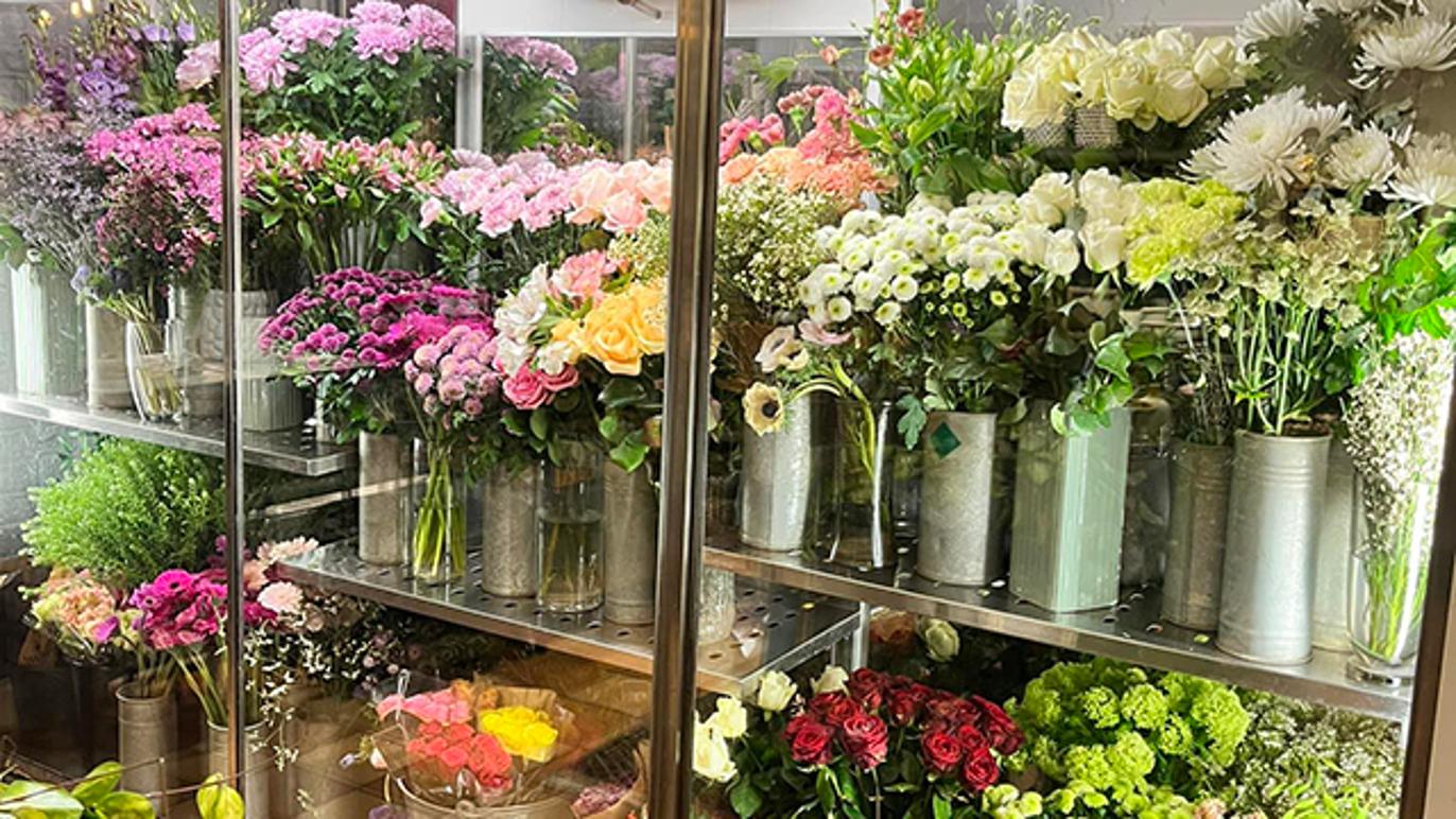 Images Bya Blomman By Witt