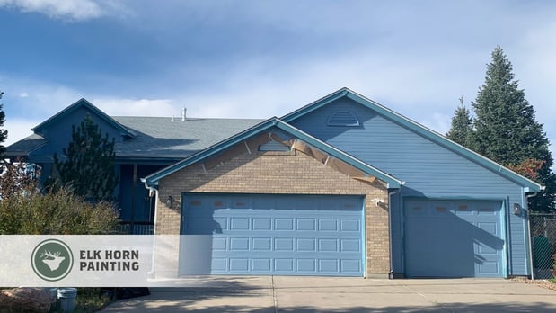 Images Elk Horn Painting - Denver