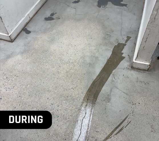 MACH ONE Epoxy Floors of Norfolk Image