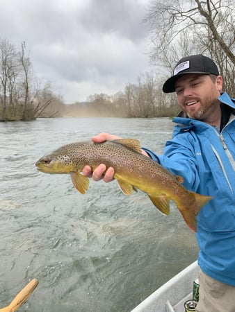 Images Holston River Fishing Guides