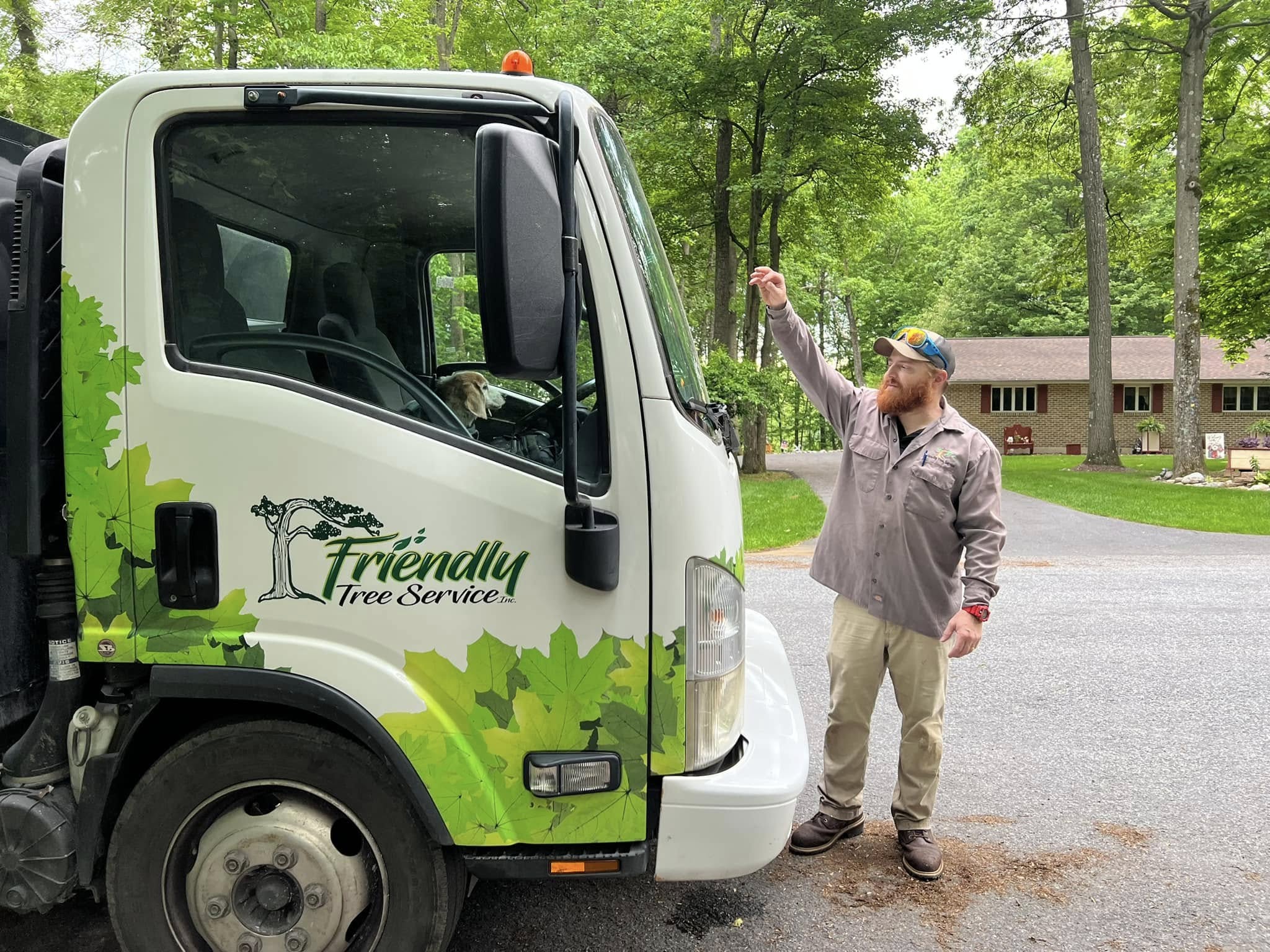 Friendly Tree Service Inc Image