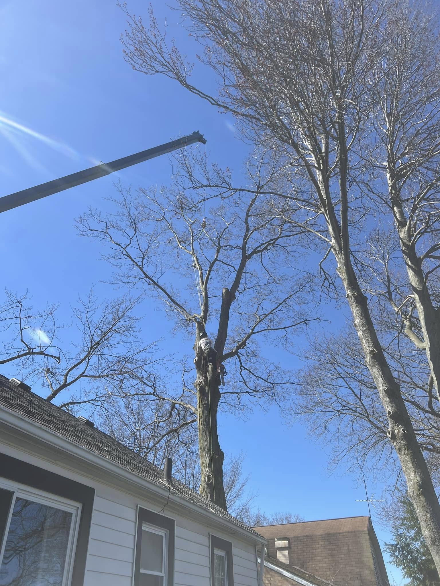 Lucca Landscaping & Construction LLC provides safe and efficient tree removal services to help protect your property and maintain a clean, open landscape. Whether due to damage, disease, or space planning, we handle each removal with precision and care. Our team is committed to completing every job with minimal disruption and maximum safety. You can count on us for professional service that gets the job done right.