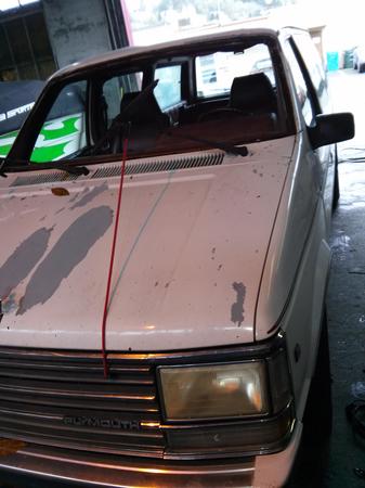 Images The Glass Guy