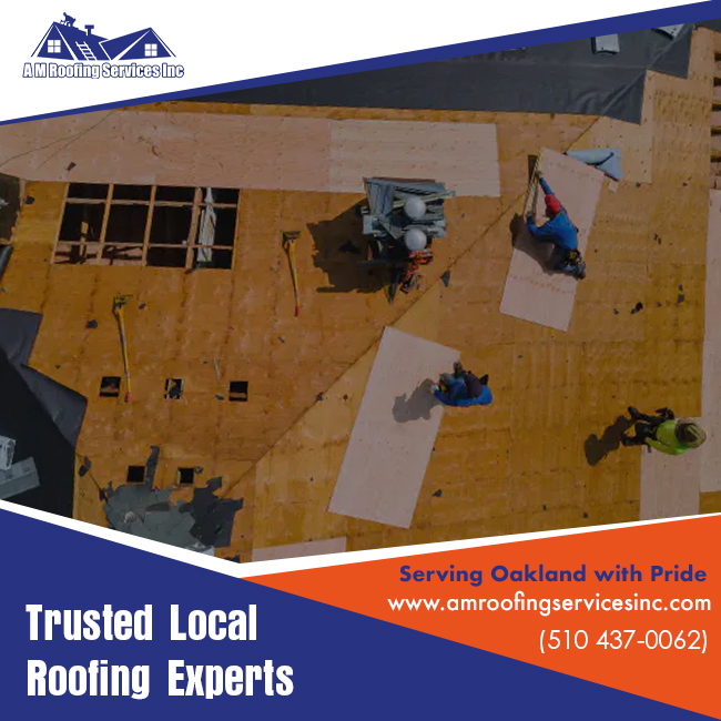 AM Roofing Services Inc Image