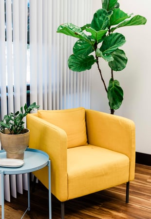 Images Delve Psychiatry - TMS, Psychotherapy & Ketamine Infusion Therapy