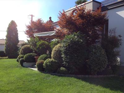 Images Bonaita Robi & Figli