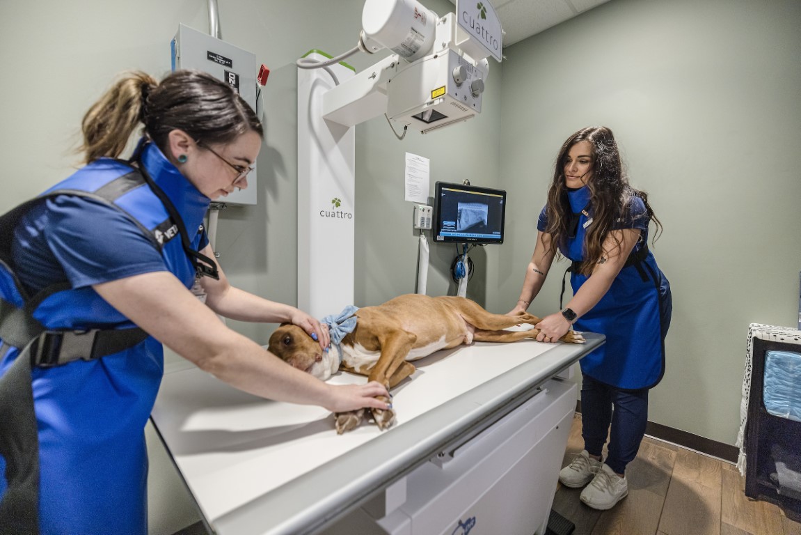 Hill Top Animal Hospital Image