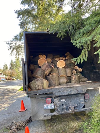 Images Green Nature Tree Service LLC