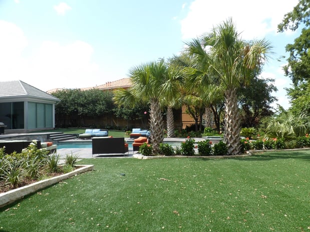 Images Texas Palm Trees and Irrigation LLC