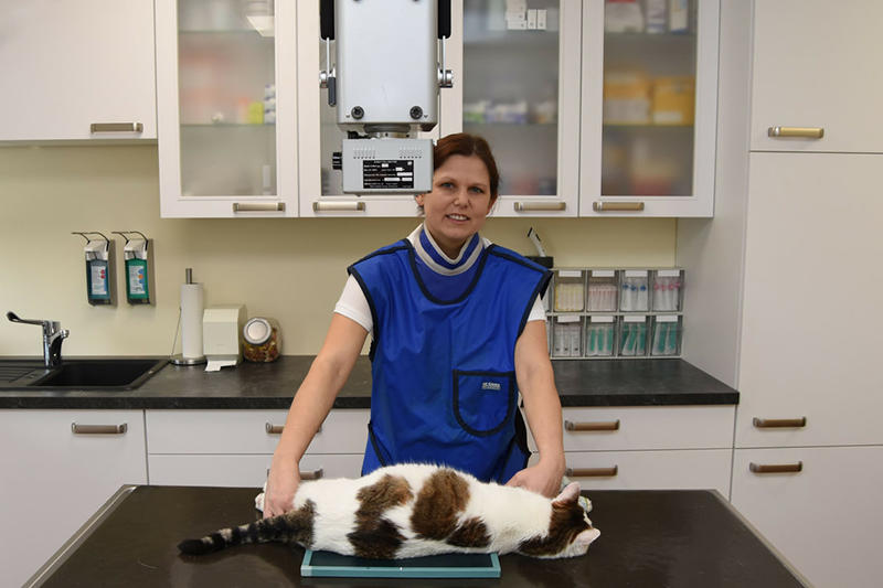 Bilder Tierarztpraxis Diplomtierärztin Dr. Bettina Rumpler