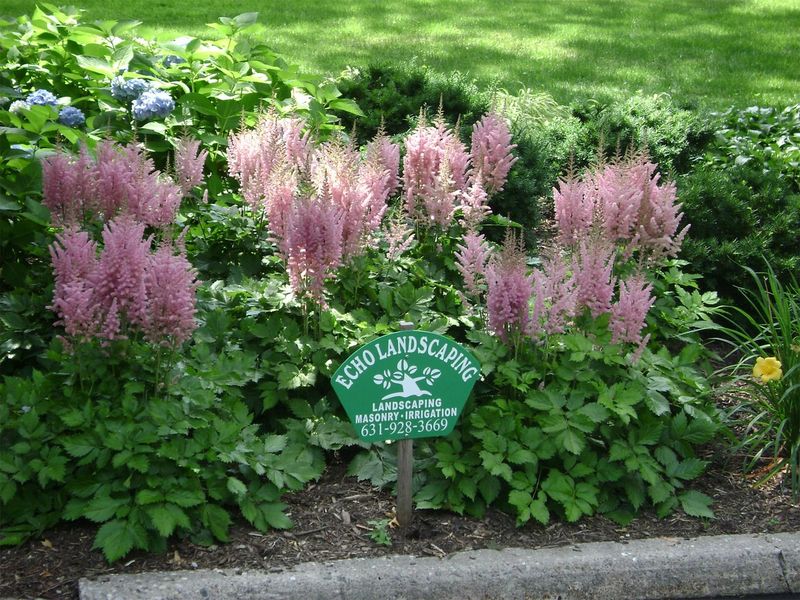 Images Echo Landscaping Inc