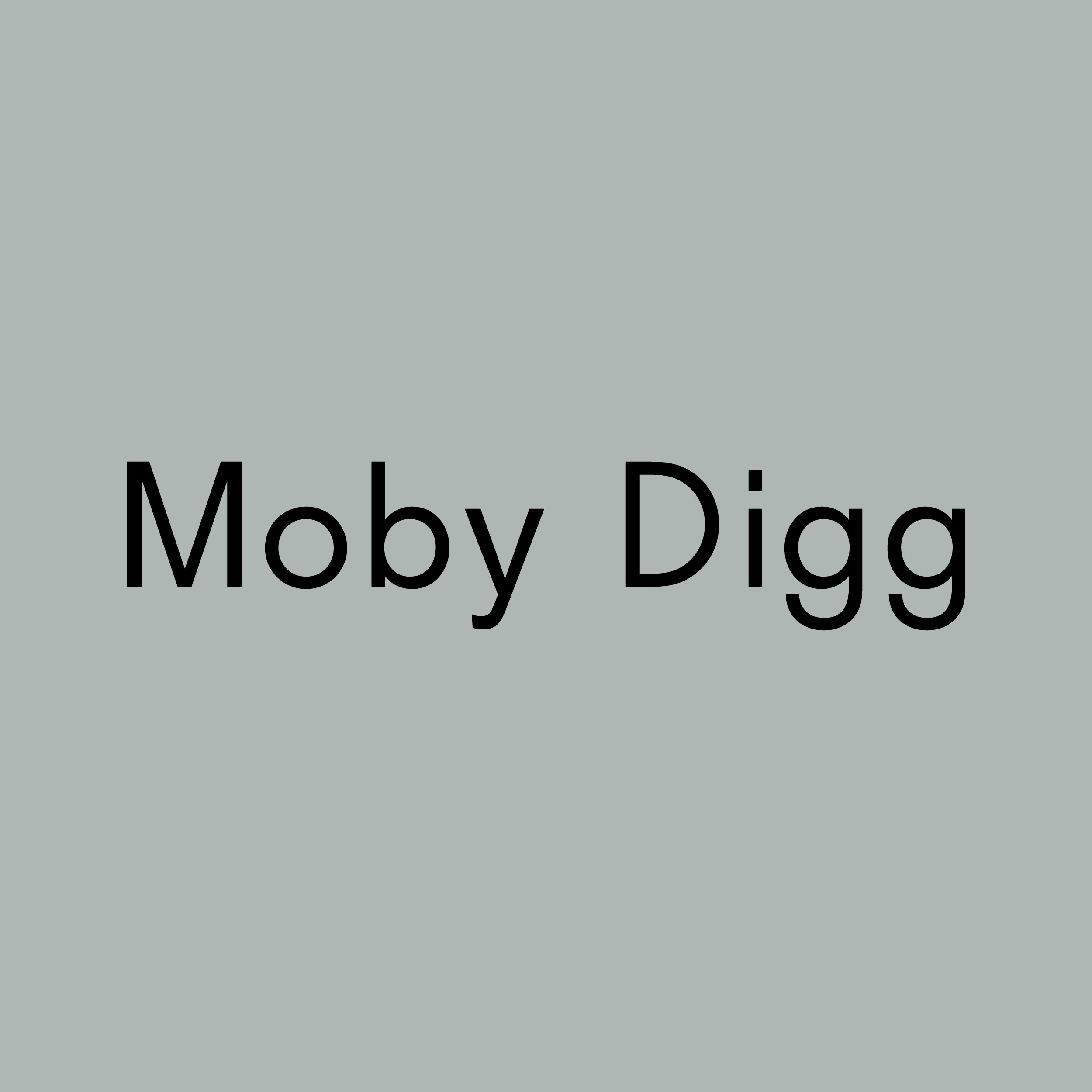 Logo Logo der Design Agentur Moby Digg aus München