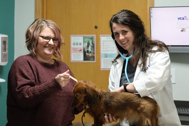Images VCA Marshalltown Animal Hospital - CLOSED