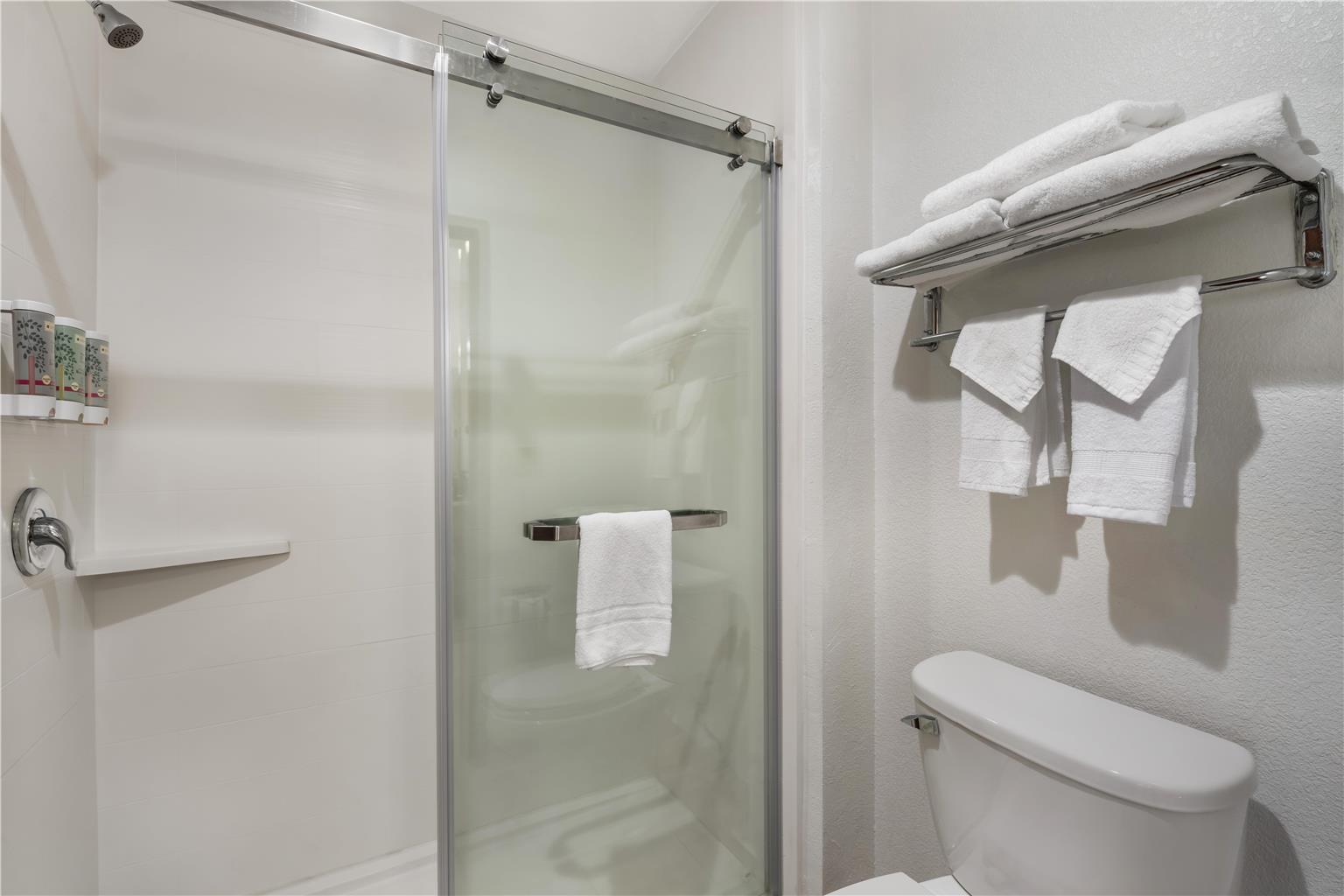 King Bathroom with HotTub 