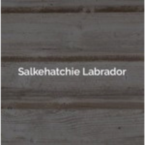 Salkehatchie Labrador Logo