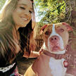 Pawsitively Perfect LLC Dog Grooming