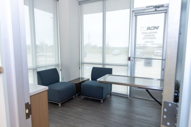 Images VCA Mainland Animal Hospital