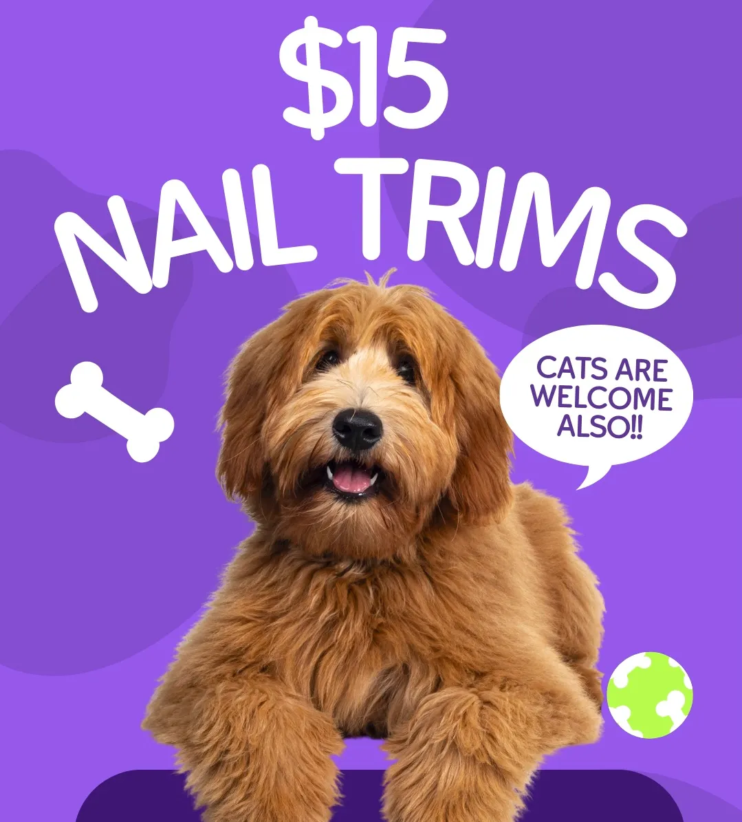 Image of Local Pet Event Nail Trim’s w/ Kristina Nearby