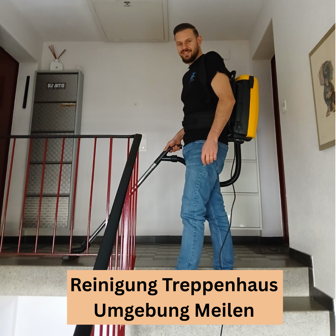 Bilder Sopa Reinigung