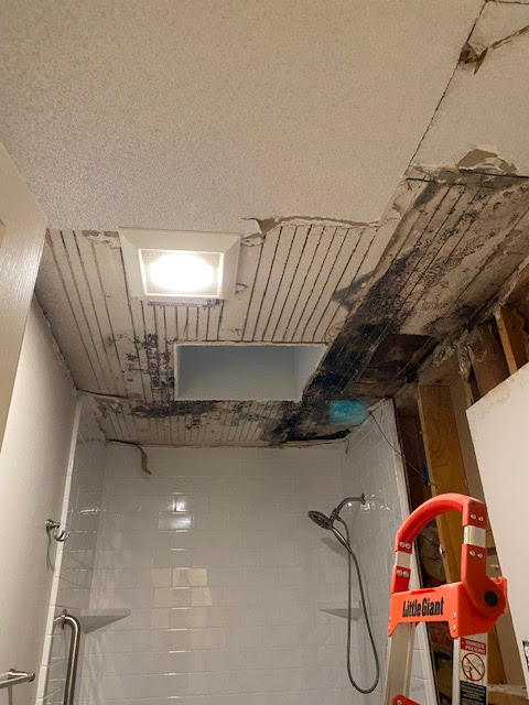 Images Voda Cleaning & Restoration