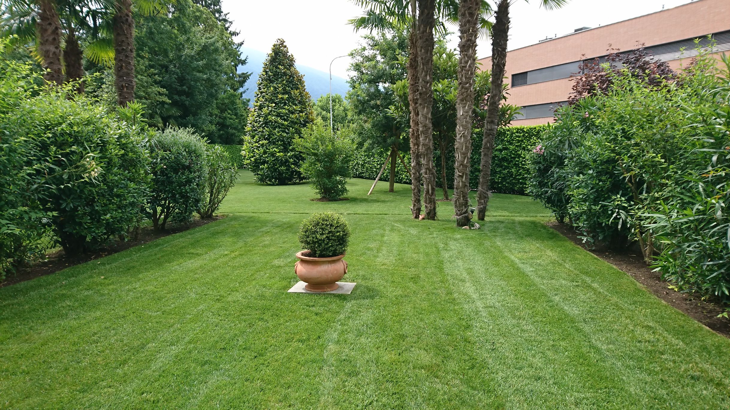 Bilder Wistaria Sagl