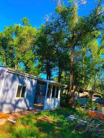 Images Central Colorado Tree Service