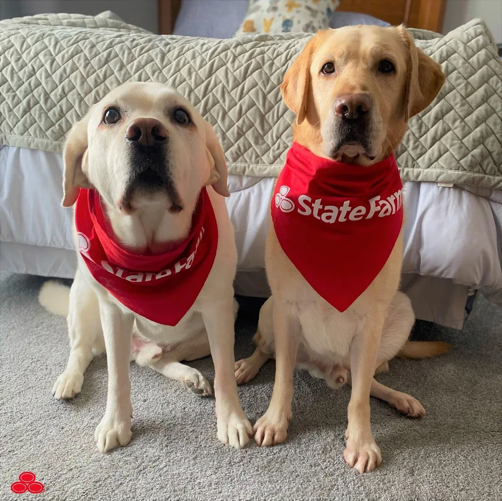 Two good neighbors reporting for duty!