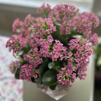 Country Wood Hearts & Lace Image