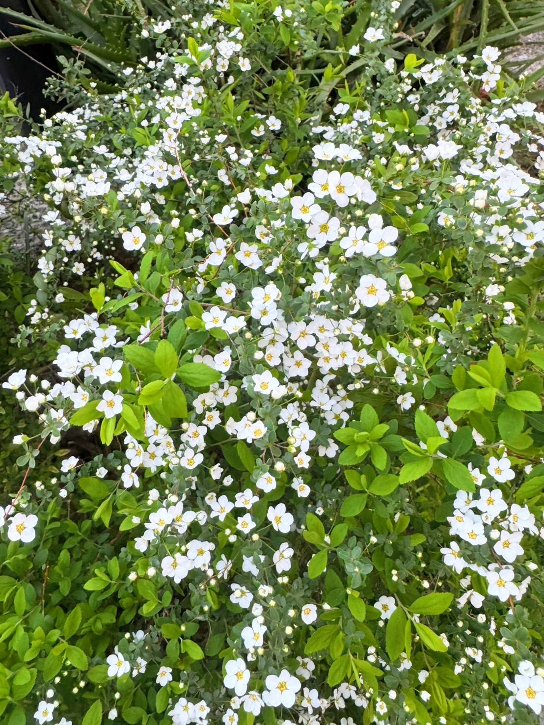 Images 横浜の大衆焼肉 弘明寺駅前店