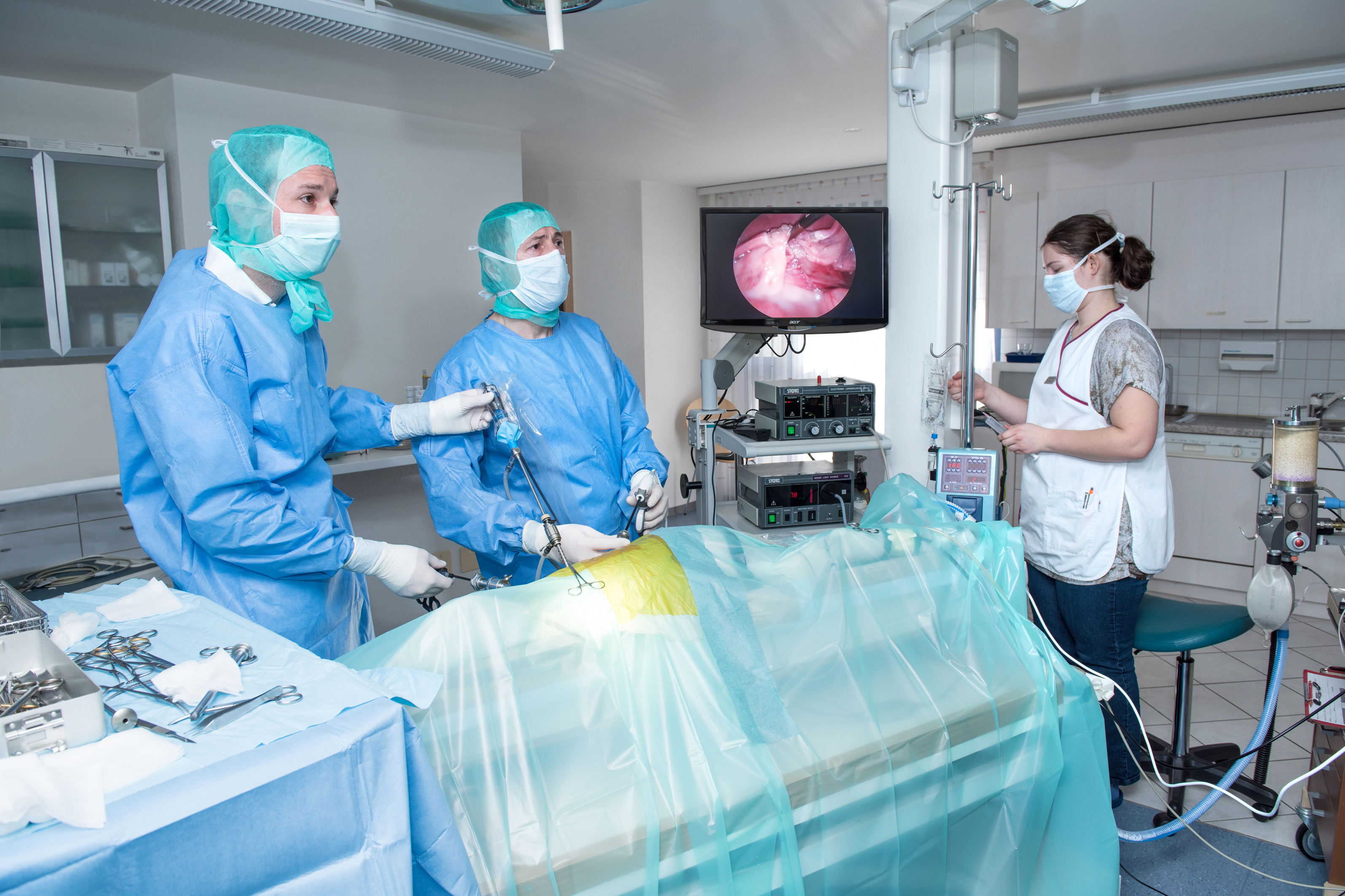 Bilder Kleintierklinik Glattfeld AG