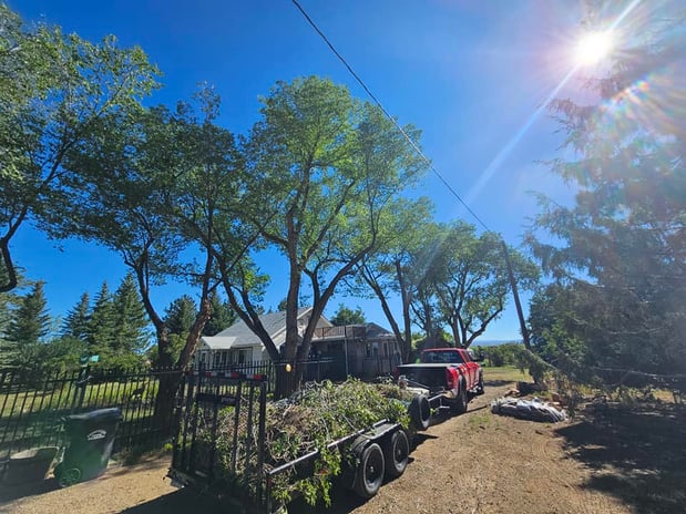 Images H & S Tree Care