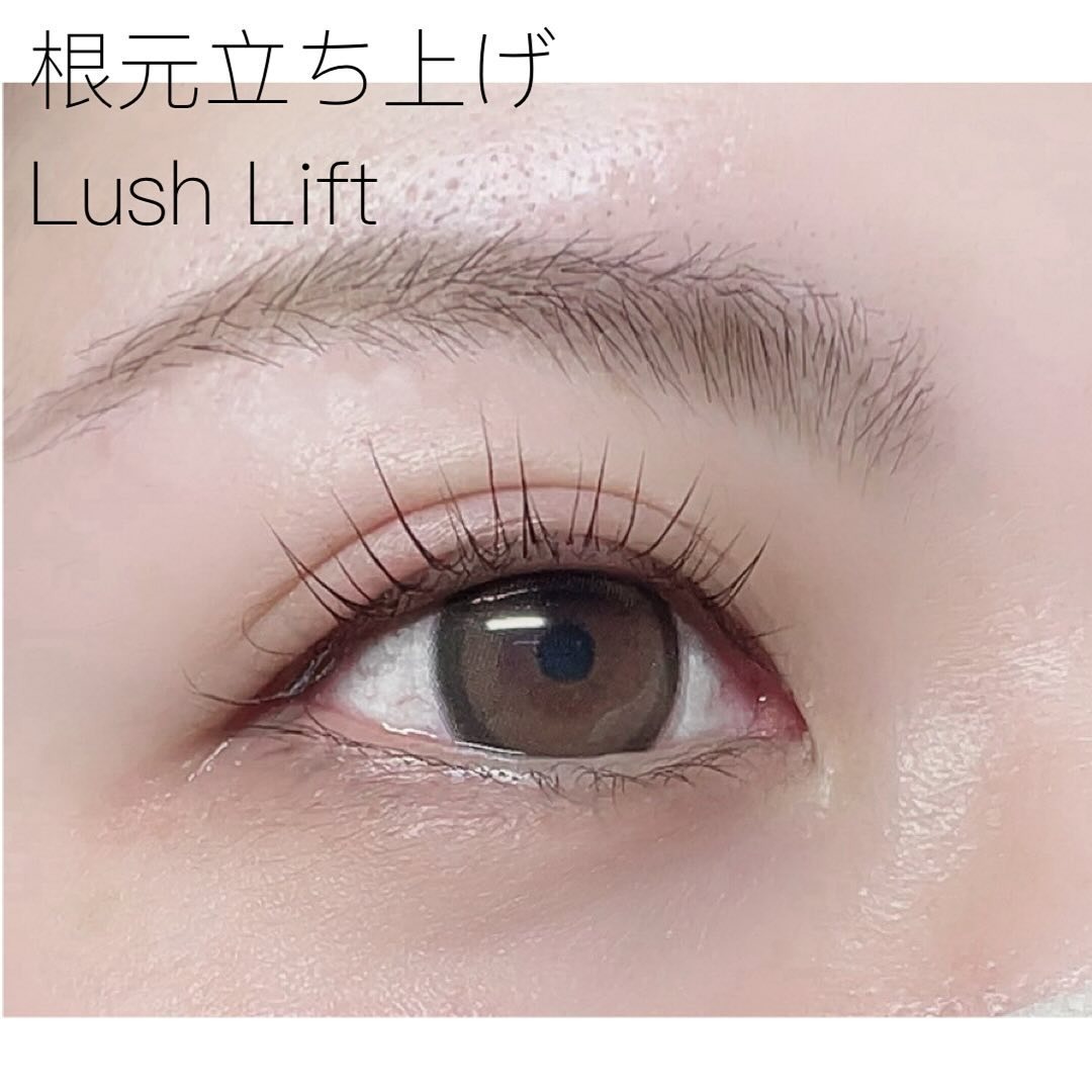 Images eyelash salon LIALI