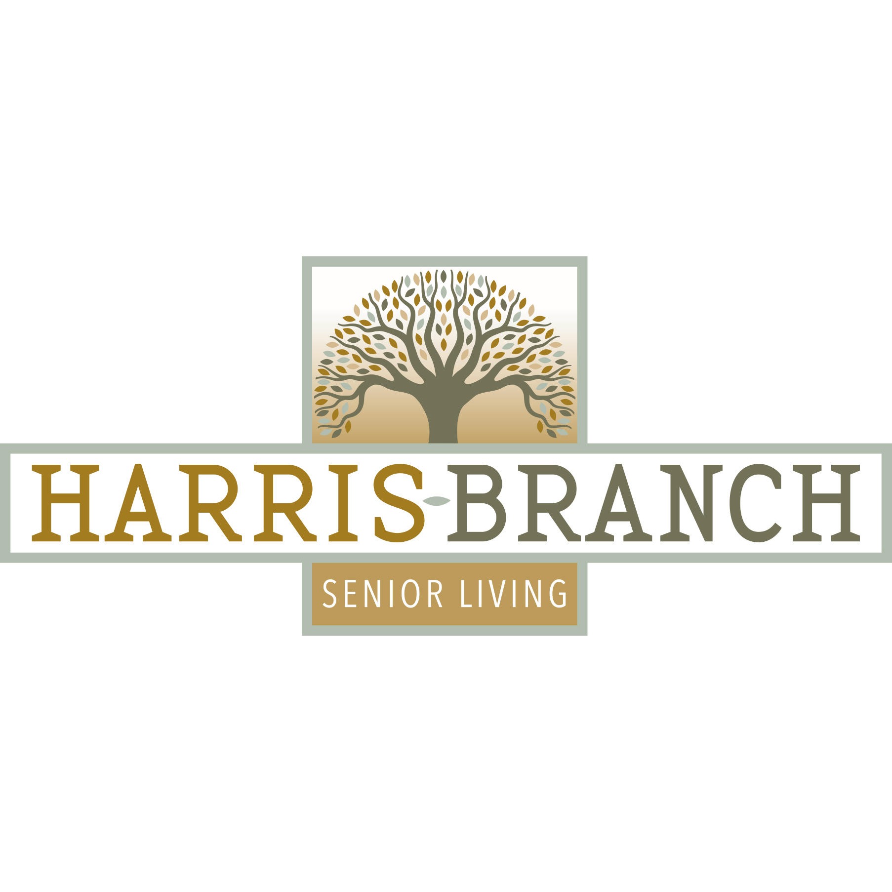 Harris Branch 55+ Apartments - Austin, TX 78754 - (512)540-3664 | ShowMeLocal.com