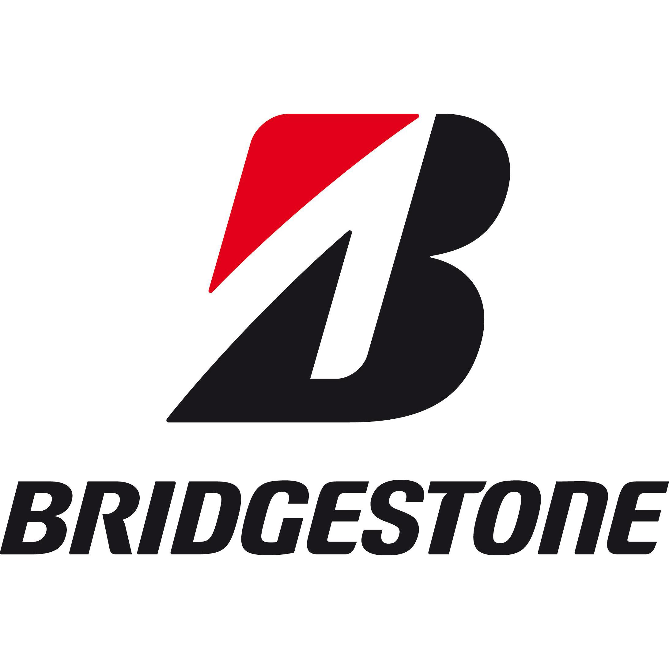 BRIDGESTONE EUROPE NV/SA Logo